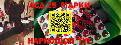 стафф Кандалакша