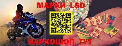 стафф Кандалакша