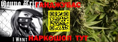 прущие крисы Камышлов