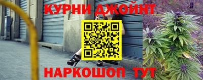 прущие крисы Камышлов