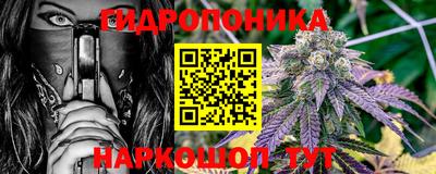 прущие крисы Камышлов