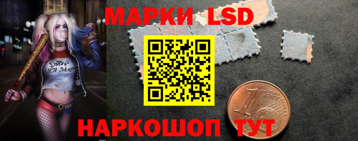 Галлюциногенные грибы Краснодар