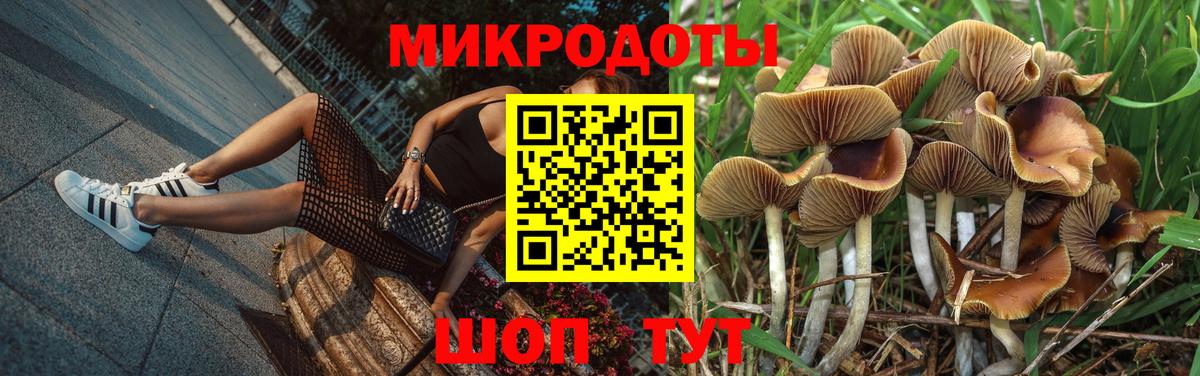 Псилоцибиновые грибы Cubensis Краснодар